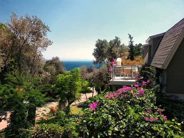loryma resort pictures
